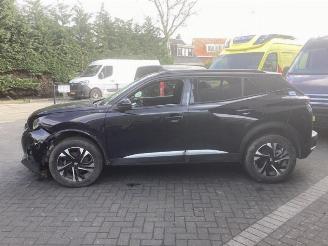 Peugeot 2008 2008 (UD/UK/UR/US/UX), MPV, 2019 1.2 VTi 12V PureTech 130 picture 8