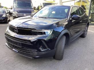 Schadeauto Opel Mokka Mokka, SUV, 2020 Mokka-e, Electric 50 kWh 2024/1