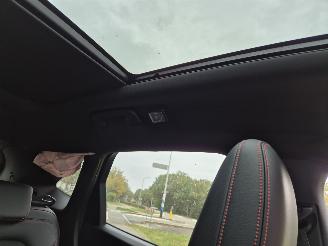 Ford Kuga 2.5 PHEV ST-LINE picture 18