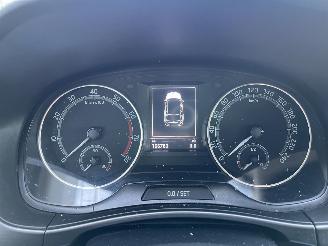 Skoda Fabia 1.0 TSI 81kw Automaat  clima navi  pdc picture 17
