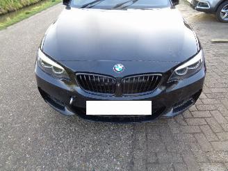 Damaged car BMW 2-serie  2016/1