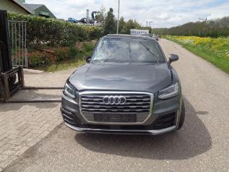 Audi Q2  picture 3