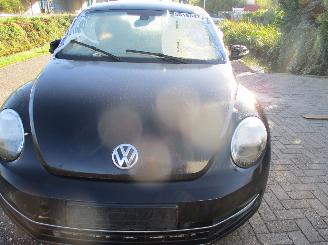 Volkswagen Beetle  picture 2