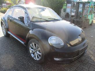 Volkswagen Beetle  picture 8