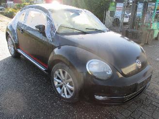 Volkswagen Beetle  picture 4