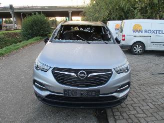 Opel Grandland  picture 3