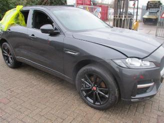 Jaguar F-Pace  picture 5