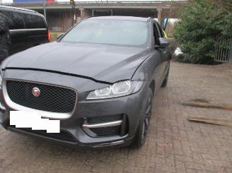 Jaguar F-Pace  picture 6