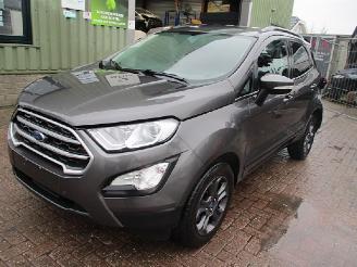 Ford EcoSport  picture 3