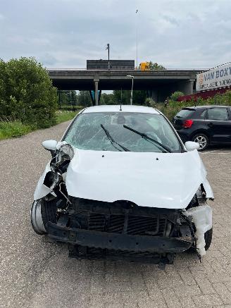  Ford Fiesta  2010/1