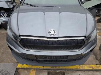 Skoda Enyaq Enyaq iV (NYAC), SUV, 2021 80 picture 8