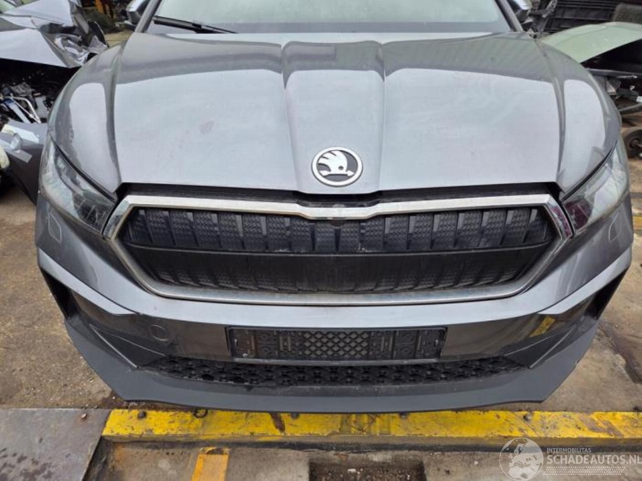 Skoda Enyaq Enyaq iV, SUV, 2021 80