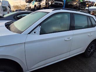 rozbiórka samochody osobowe Skoda Kamiq Kamiq, SUV, 2019 1.0 TSI 12V 2022/10