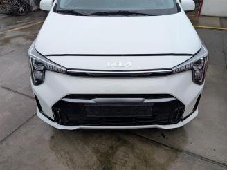 Kia Picanto Picanto (JA), Hatchback, 2017 1.0 DPI 12V picture 3