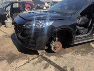 Ford Kuga Kuga III (DFK), SUV, 2019 2.5 PHEV 16V picture 4