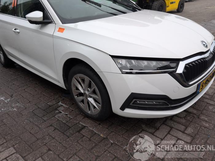 Skoda Octavia Octavia Combi (NXAC), Combi 5-drs, 2019 1.0 TSI 12V