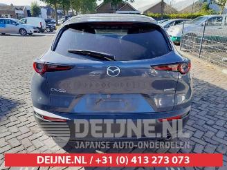 Mazda CX-30 CX-30 (DM), SUV, 2019 2.0 e-SkyActiv-G 122 16V picture 6