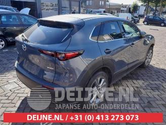 Mazda CX-30 CX-30 (DM), SUV, 2019 2.0 e-SkyActiv-G 122 16V picture 7