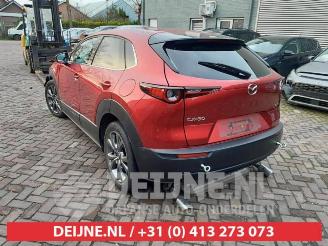 Mazda CX-30 CX-30 (DM), SUV, 2019 2.0 e-SkyActiv-X 181 M Hybrid 16V picture 5