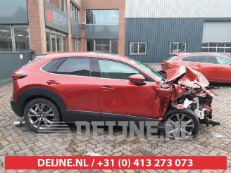 Mazda CX-30 CX-30 (DM), SUV, 2019 2.0 e-SkyActiv-X 181 M Hybrid 16V picture 8