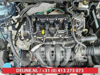 Mazda 2 2 (DJ/DL), Hatchback, 2014 1.5 SkyActiv-G 90 picture 31