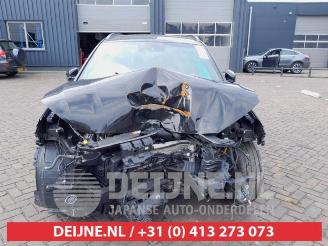 Hyundai Kona Kona (OS), SUV, 2017 / 2023 2.0 N Turbo 16V picture 2