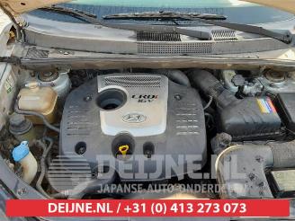 Hyundai Tucson Tucson (JM), SUV, 2004 / 2010 2.0 CRDi VGT 16V 4x4 picture 18
