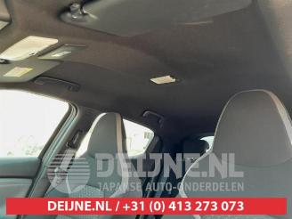Nissan Juke Juke (F16), SUV, 2019 1.0 DIG-T 117 12V picture 26