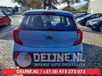 Kia Picanto Picanto (JA), Hatchback, 2017 1.0 12V picture 6