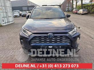 Toyota Rav-4 RAV4 (A5), Terreinwagen, 2018 2.5 Hybrid 16V picture 2