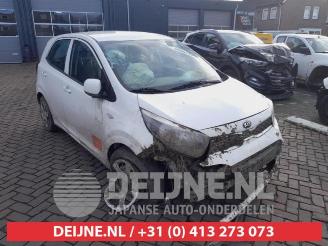 Vrakbiler auto Kia Picanto Picanto (JA), Hatchback, 2017 1.0 12V 2019/9