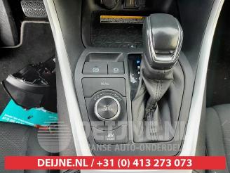 Toyota Rav-4 RAV4 (A5), Terreinwagen, 2018 2.5 Hybrid 16V AWD picture 32