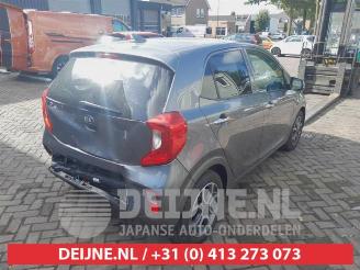 Kia Picanto Picanto (JA), Hatchback, 2017 1.0 DPi 12V picture 7