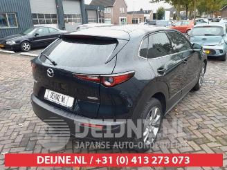 Mazda CX-30 CX-30 (DM), SUV, 2019 2.0 e-SkyActiv-G 122 16V picture 7