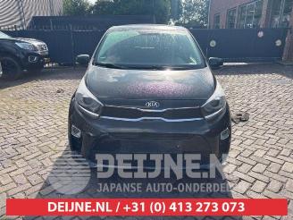 Kia Picanto Picanto (JA), Hatchback, 2017 1.0 12V picture 2