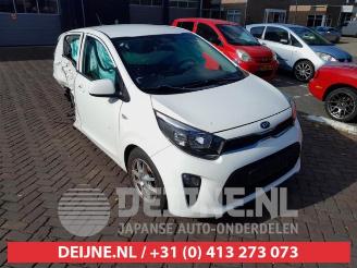 Uttjänta bilar auto Kia Picanto Picanto (JA), Hatchback, 2017 1.0 12V 2017/9