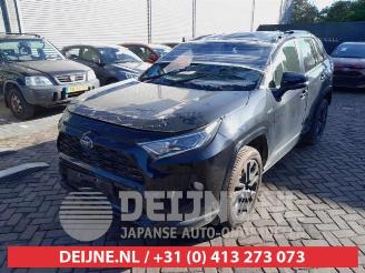 Toyota Rav-4 RAV4 (A5), Terreinwagen, 2018 2.5 Hybrid 16V picture 3