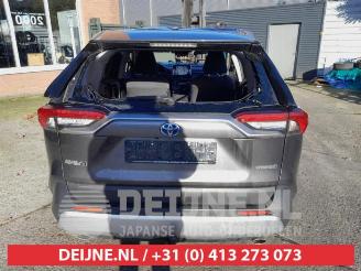 Toyota Rav-4 RAV4 (A5), Terreinwagen, 2018 2.5 Hybrid 16V picture 6