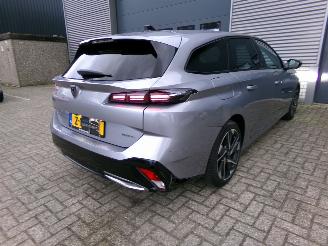 Peugeot 308 SW 1.6 PLUG-IN HYBRID / NAVI / CAMERA / CRUISE picture 23