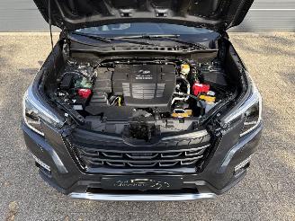 Subaru Forester 2.0i e-BOXER Luxury picture 22