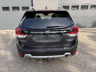 Subaru Forester 2.0i e-BOXER Luxury picture 18