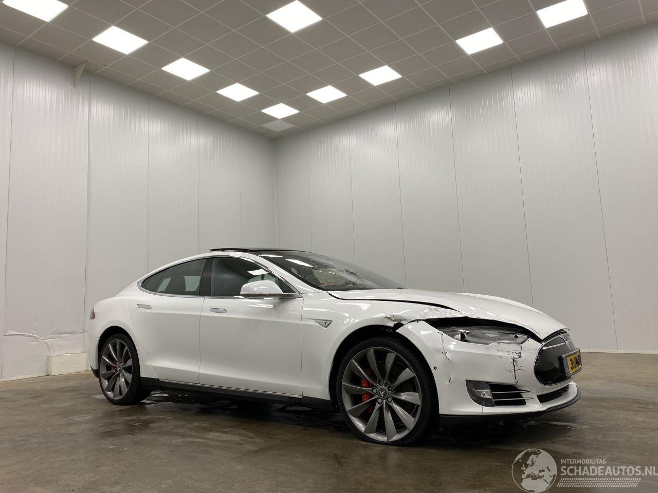 Tesla Model S 85D Performance Panoramadak
