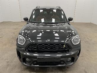 Mini Countryman 1.5 Cooper S E ALL4 Panoramadak Navi Clima picture 5