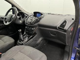 Ford B-Max 1.0 EcoBoost Titanium Navi Clima picture 12