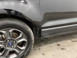 Ford EcoSport 1.0 EcoBoost Ultimate Navi Clima picture 18