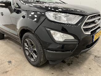 Ford EcoSport 1.0 EcoBoost Ultimate Navi Clima picture 15