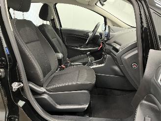 Ford EcoSport 1.0 EcoBoost Ultimate Navi Clima picture 9