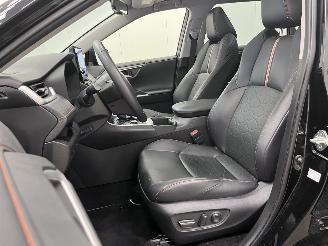 Toyota Rav-4 2.5 Hybrid AWD Panoramadak Navi Clima picture 9