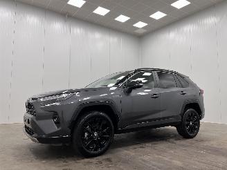 Toyota Rav-4 2.5 Hybrid Panoramadak Navi Clima picture 4