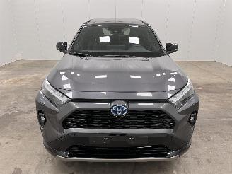 Toyota Rav-4 2.5 Hybrid Panoramadak Navi Clima picture 5